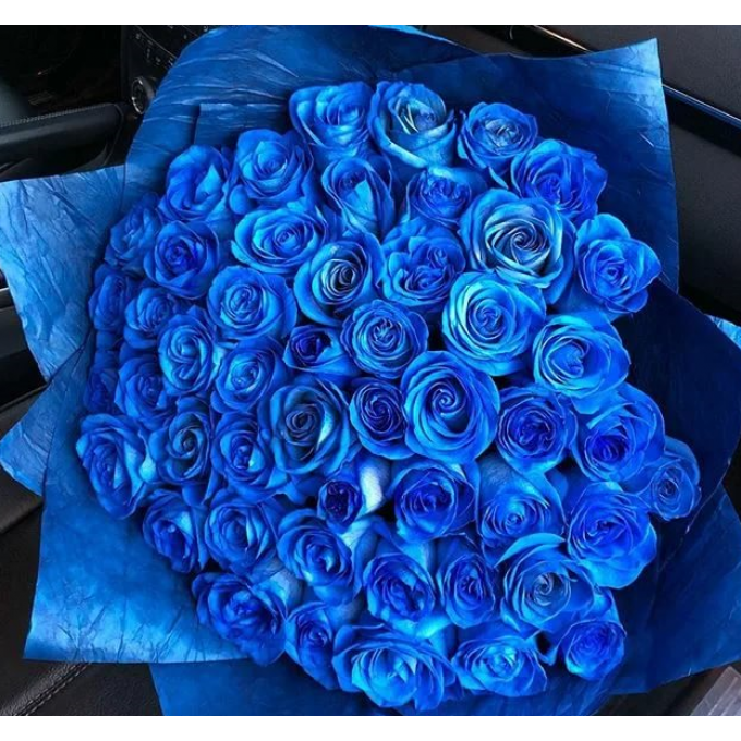 51 синяя роза